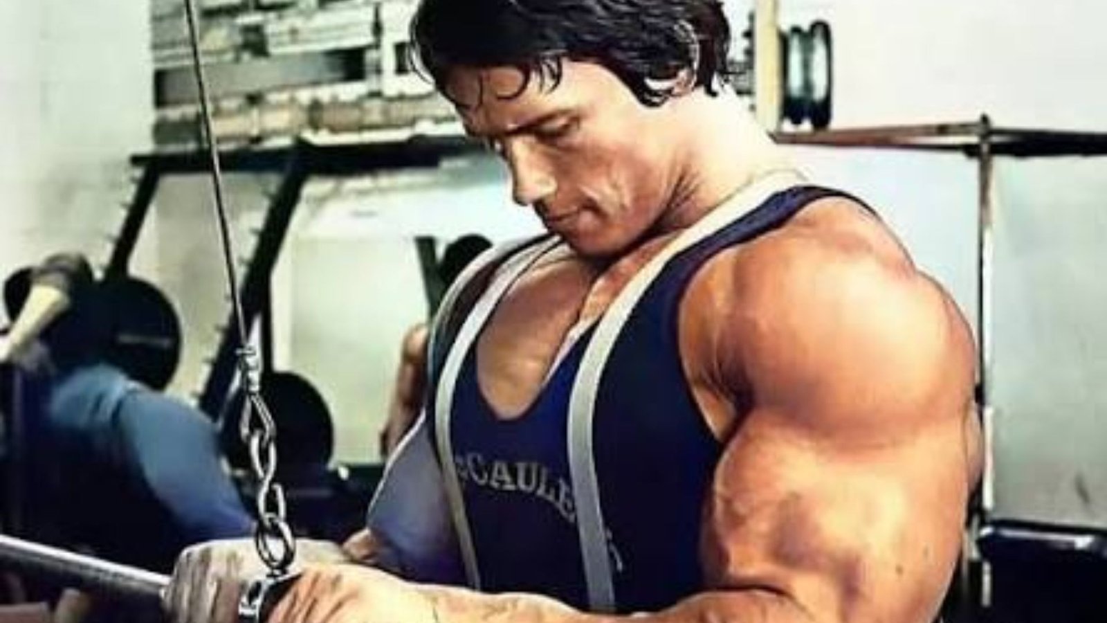Arnold performing tricep pushdowns