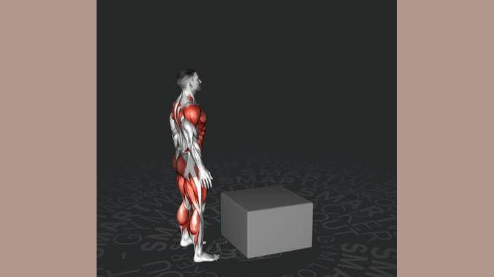 Muscle focus groups for box jumps.Jump onto a sturdy box using one leg at a time, driving your knee up hard and landing soft on each rep.