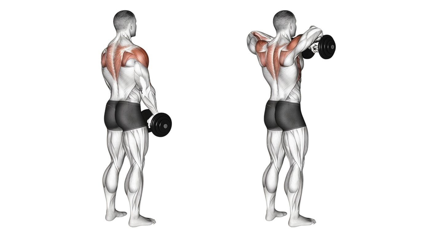 Athlete performing a dumbbell upright row with weights close to the body.
