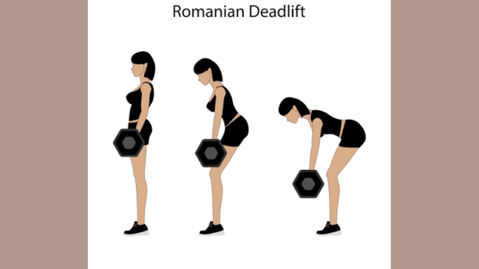 Romanian Deadlift exercise.