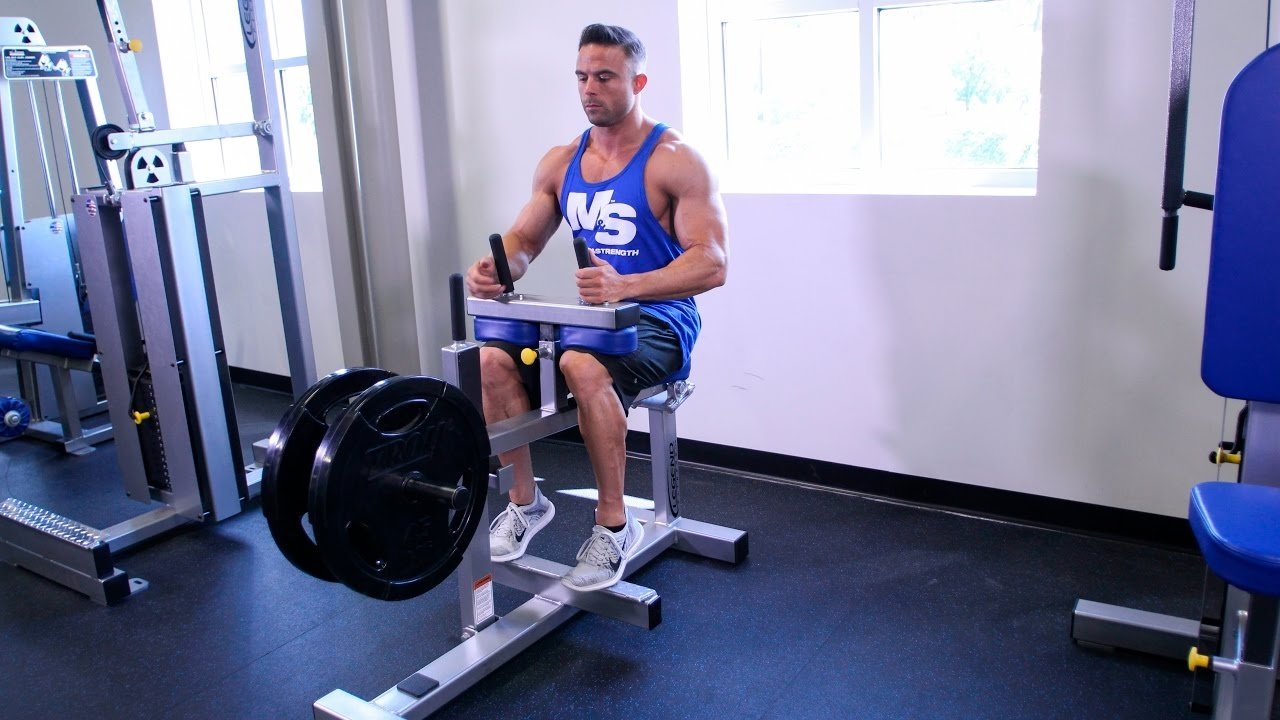 A person performing seated calf raise for training calves