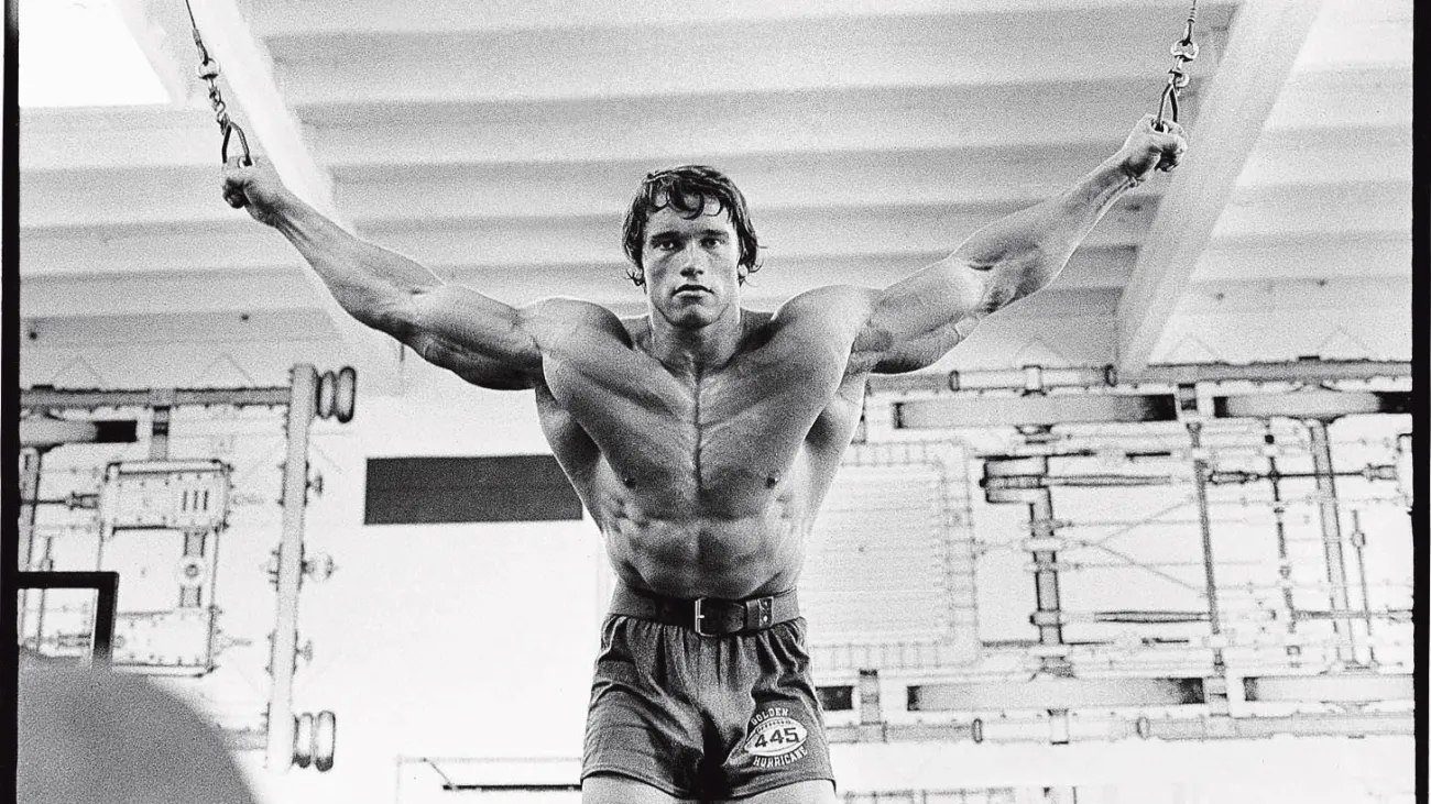 Arnold Blueprint training methods including supersets and drop sets.